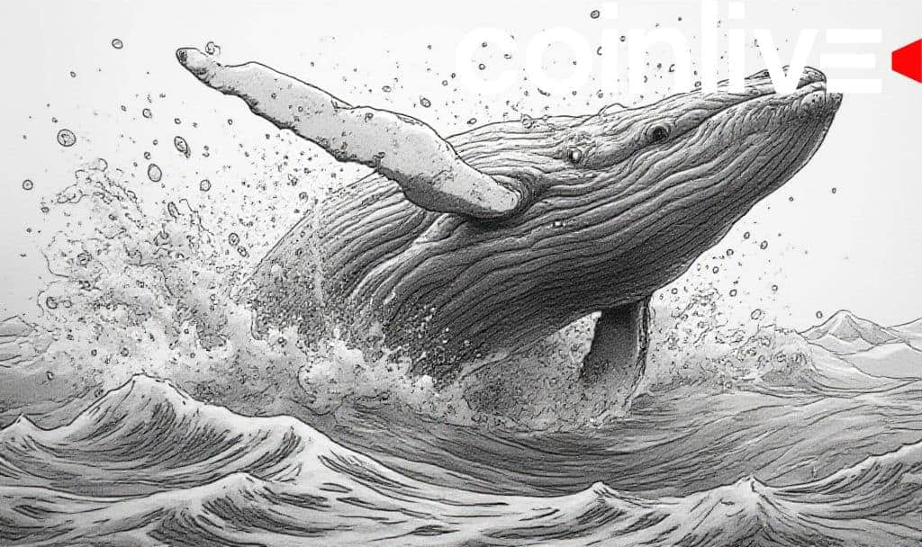 XRP and ADA Whale Activity; ETH Eyes Breakout