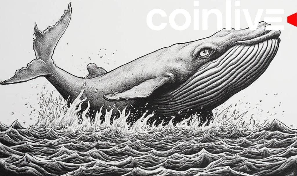 Whale Influence Sparks WLFI Governance Concerns