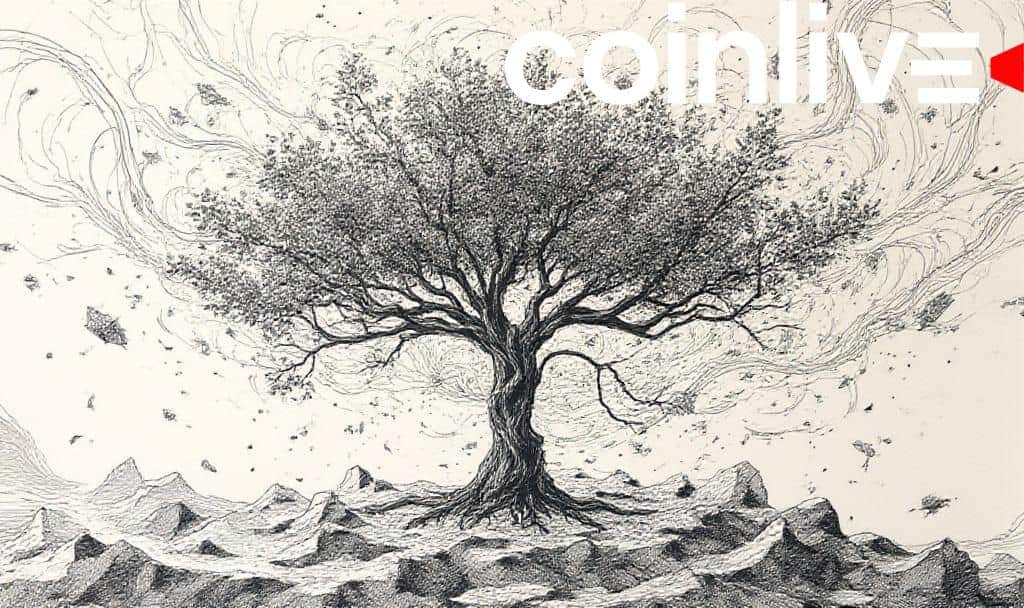 XRP Ledger Sees Growth Amid Privacy Updates