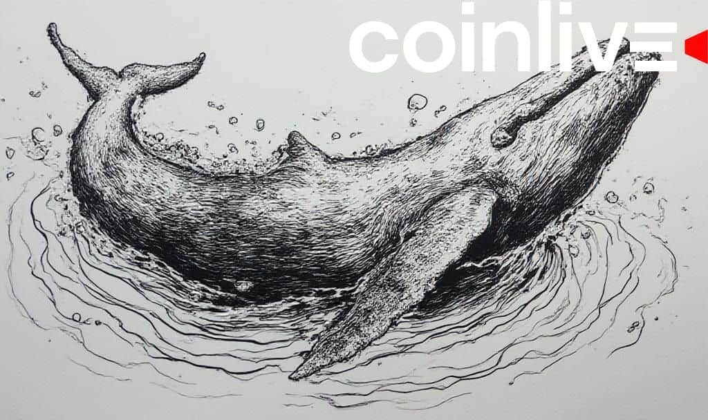 Ripple Whale Activity Raises Questions Amid Market Fluctuations