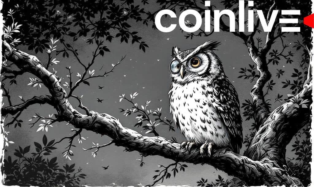 Analysts Debate Bitcoin’s Potential Market Bottom