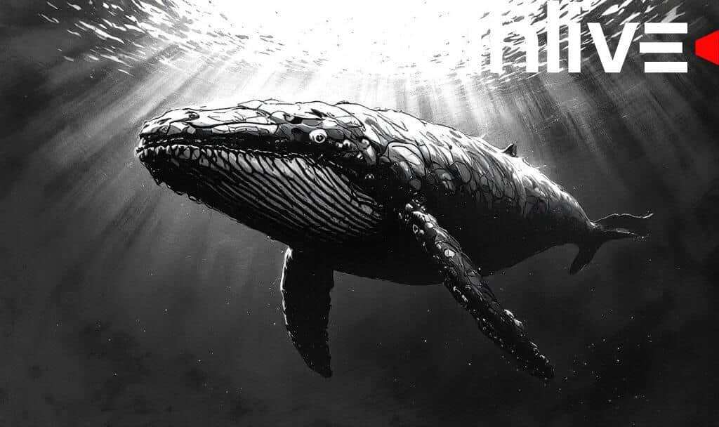 Whales Boost LINK Market Interest