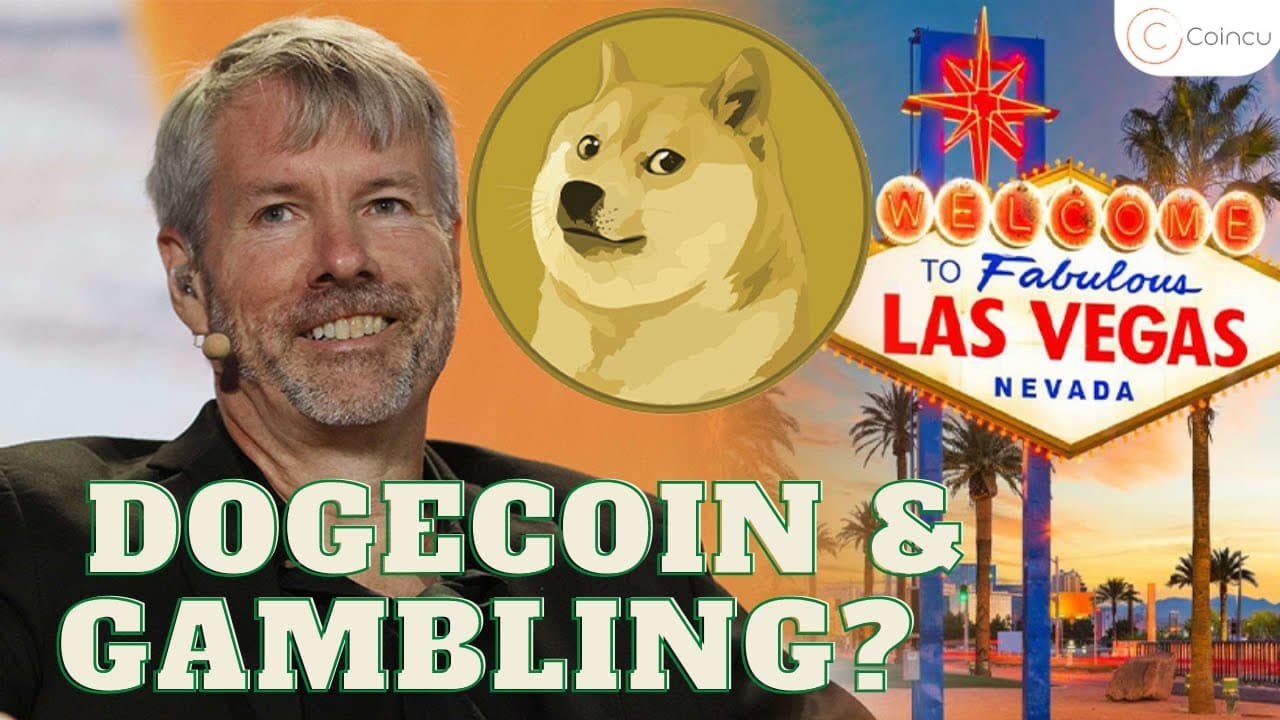 Michael Saylor compares obtaining Dogecoin to gambling