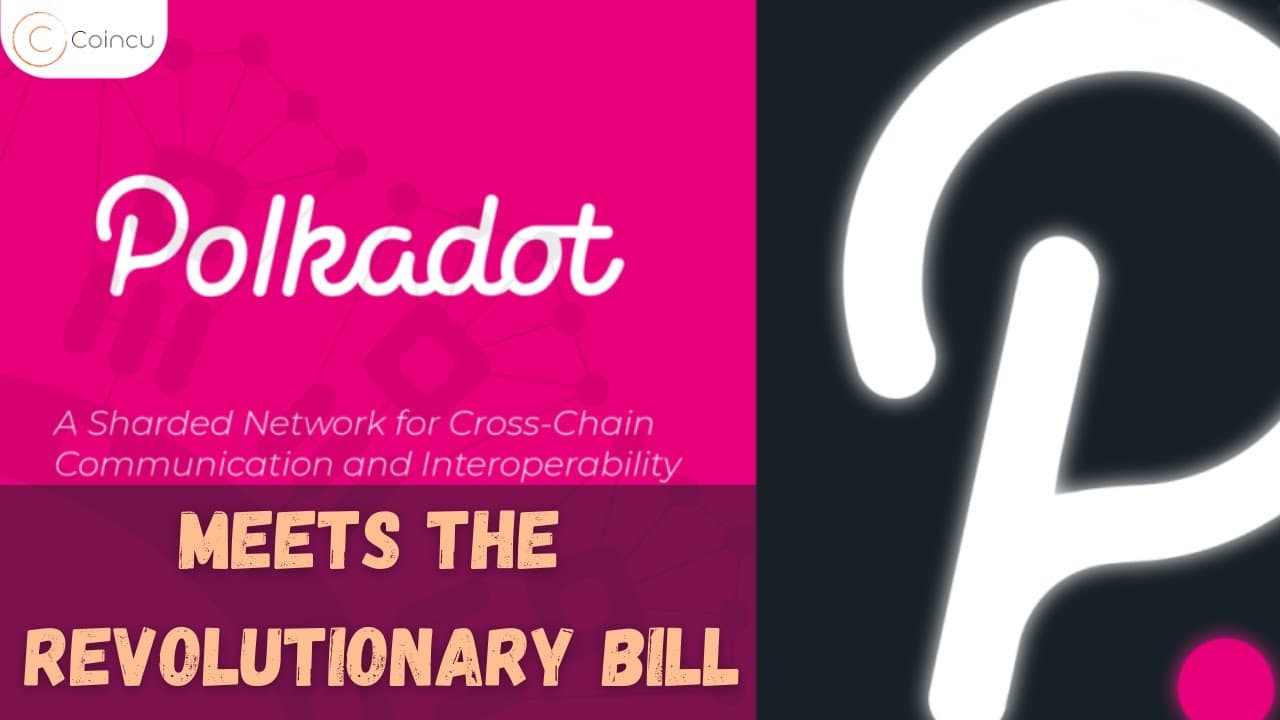 Parity says polkadot is the only protocol that fits the revolutionary bill