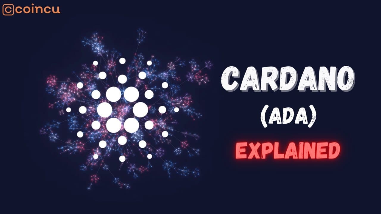 Cardano (ADA) explained | What is ADA? | Video Guide