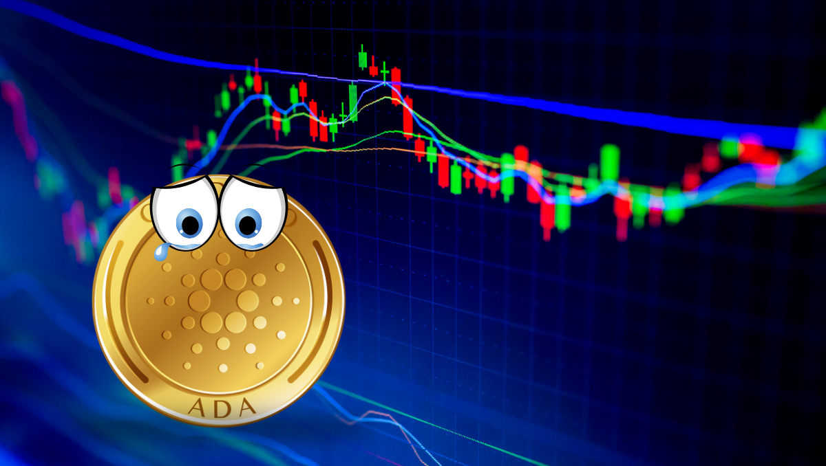 Cardano rate on the verge of a horrible bull run? This is when