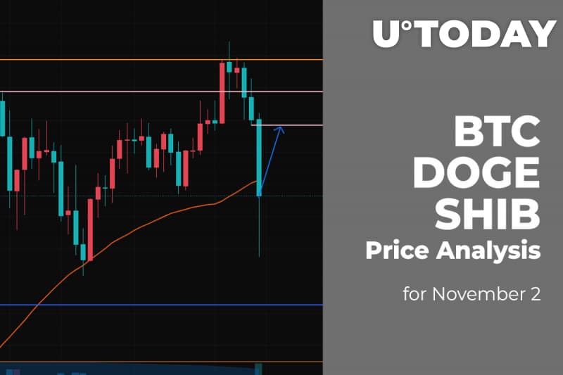 BTC, DOGE and SHIB Price Analysis for Nov two