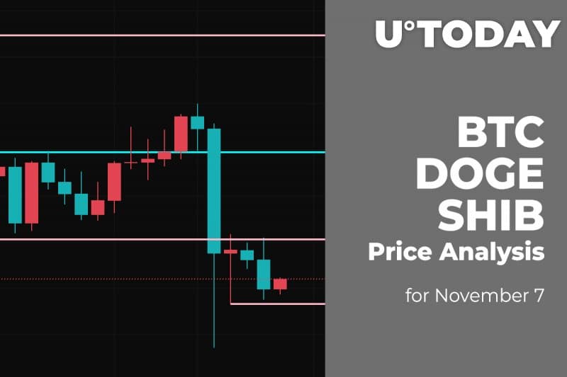 BTC, DOGE and SHIB Price Analysis for Nov seven