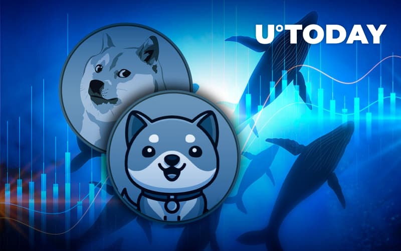 Meme Coins BabyDoge, Dogecoin chosen by BSC Whales as Top Smart Contract