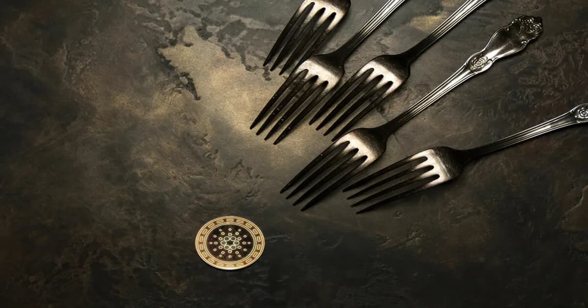 As a outcome of Cardano’s Vasil Testnet launch inviting FUDers, how will it influence the ADA bull run?