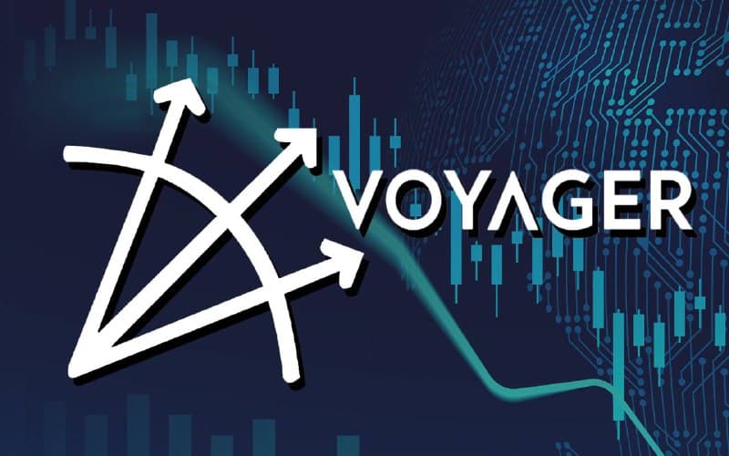 Binance and FTX Lead Voyager Auction