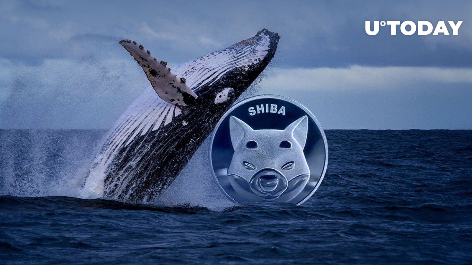 This whale buys $22.two million well worth of SHIB in a week: Details