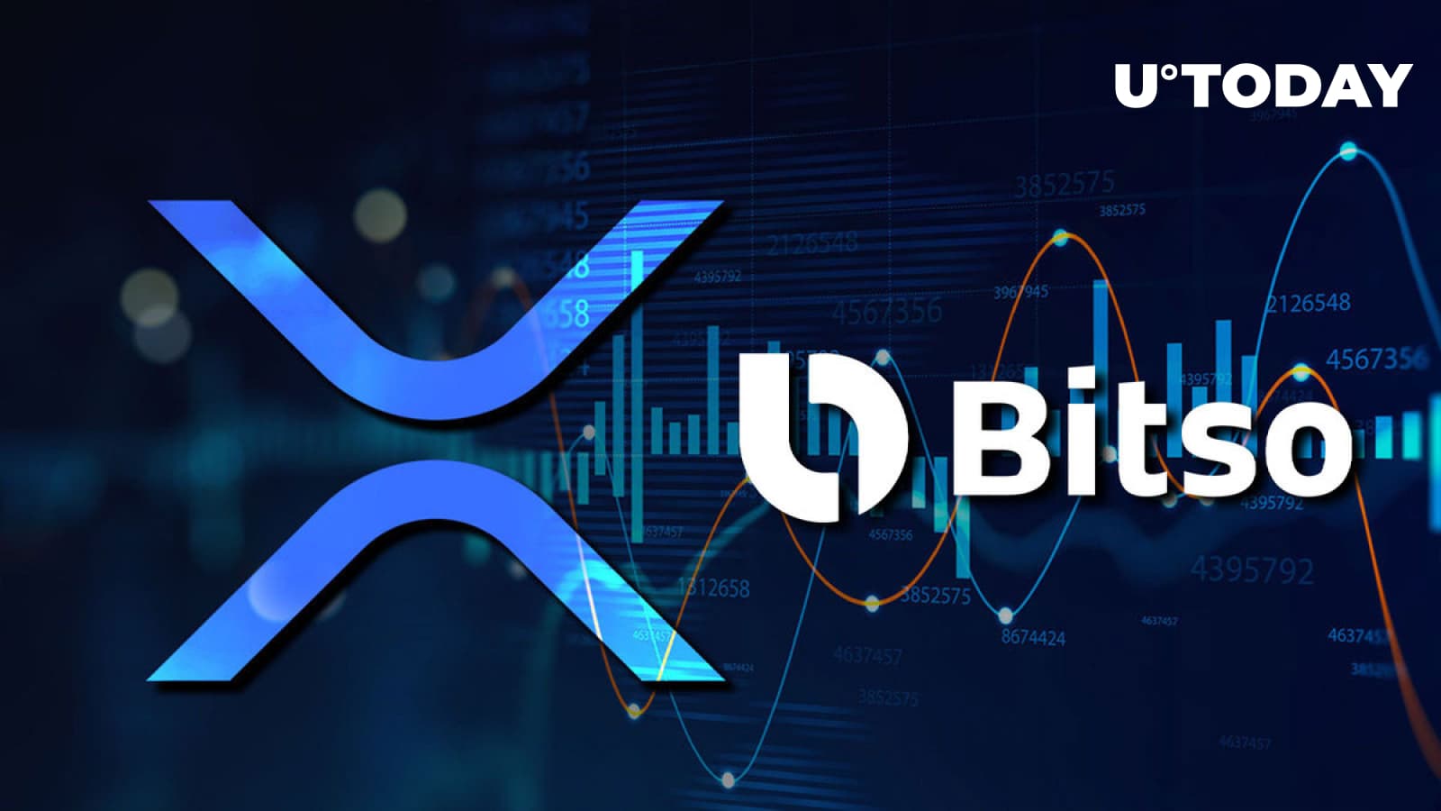 Ripple Key Partner Bitso Moves Tens of Millions of XRP – What’s Happening?