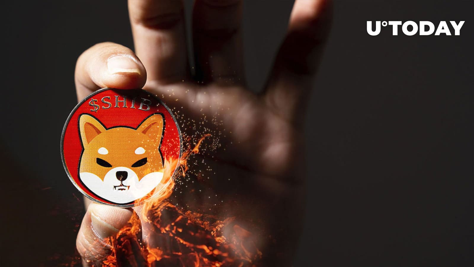 Shiba Inu (SHIB) Extremely Different Burning Since December: Details