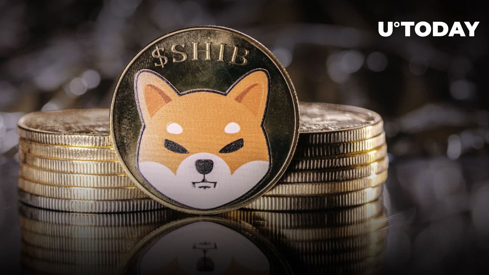 Shiba Inu (SHIB) returns to development path amid bearish on-chain indications, which could be a set off