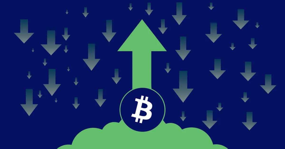 BTC Price Reaching $forty,000 Altcoin Value Will Grow With Bitcoin In The Second Half Of 2023!