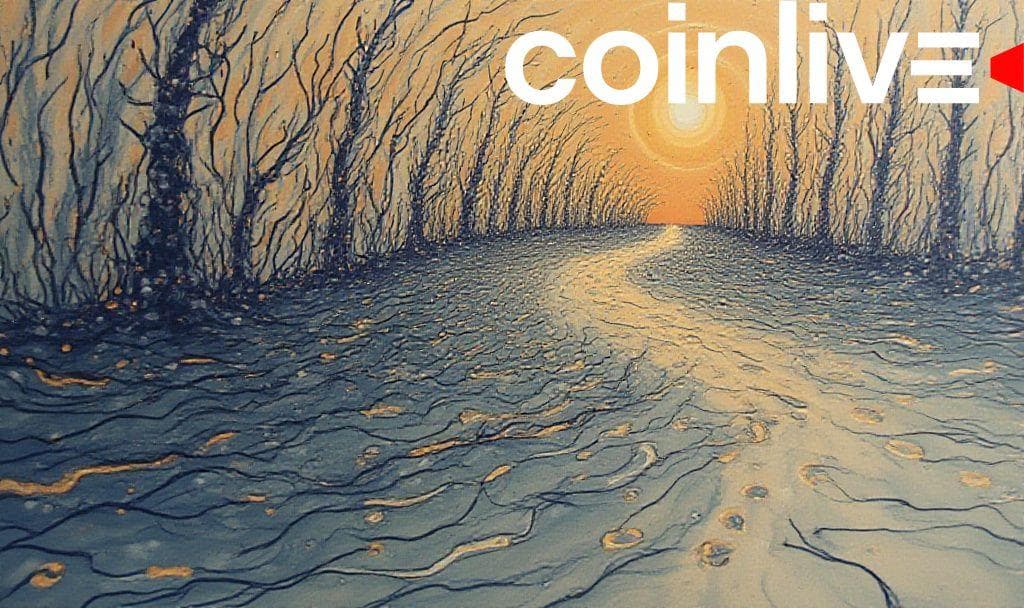 Ethereum and Ripple Lead Crypto Market Stability Reports