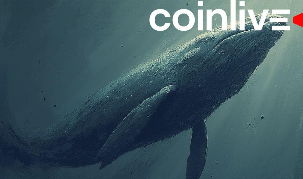 Crypto Whale Invests $6M in Solana Memecoins Amid Downturn