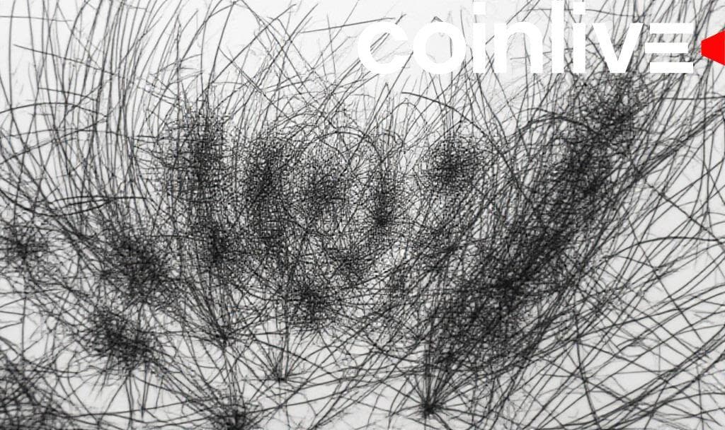 Flashbots Warns MEV Bots Undermine Blockchain Scaling Efforts