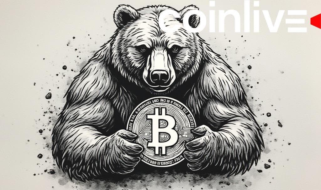 BlackRock’s IBIT Leads $294M Bitcoin ETF Inflow in Days