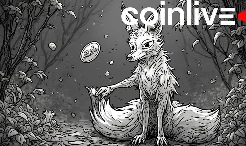 MetaMask Expands Solana Support via Transak Partnership