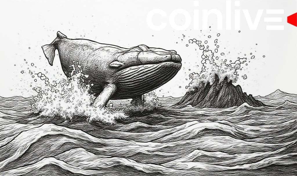 Bitcoin Whale’s $2.6B Move Fuels Market Crash