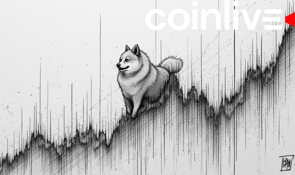 Dogecoin’s Rounded Bottom Pattern Signals Potential Rally