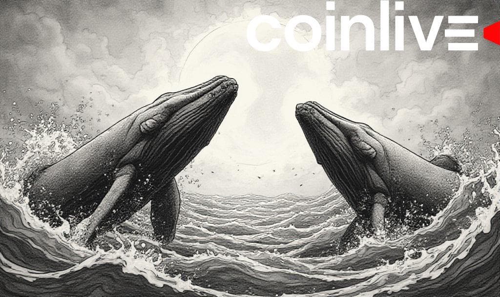 XRP Whales Exit Amid Market Strength Signals Volatility