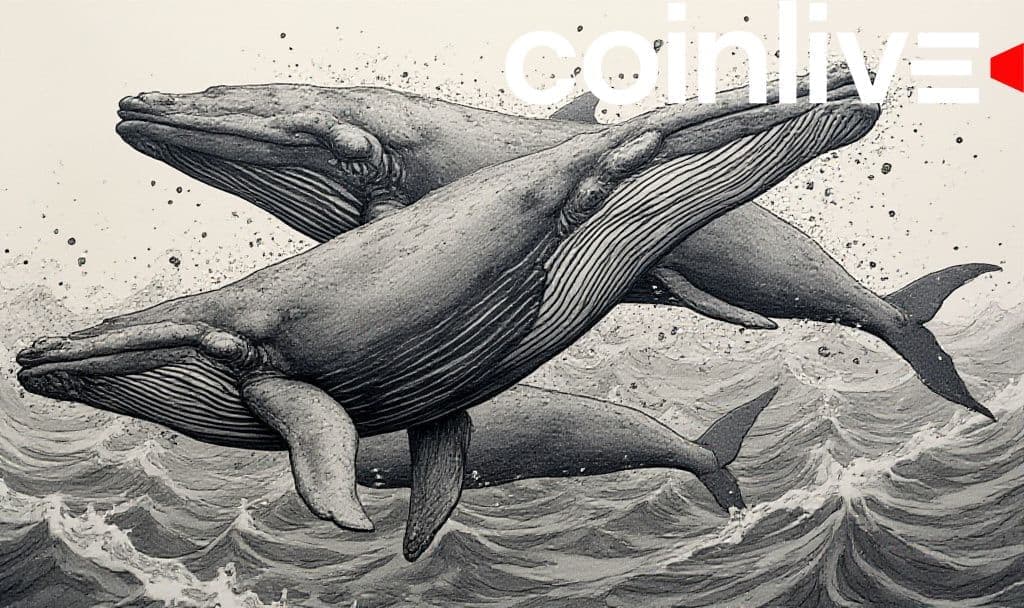 Whales Sell 680M DOGE Amid Price Decline