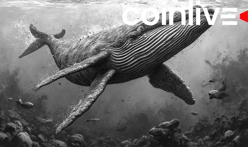 PENGU's Bullish Surge: Whale Accumulation and Growing NFT Activity