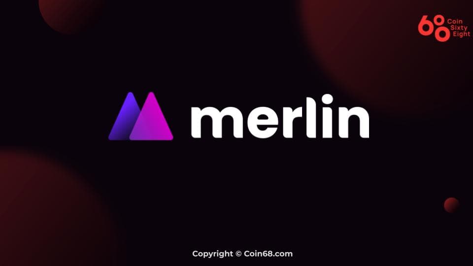 Learn What is Merlin (MERL)? Instructions on how to add Merlin liquidity on Binance Smart Chain