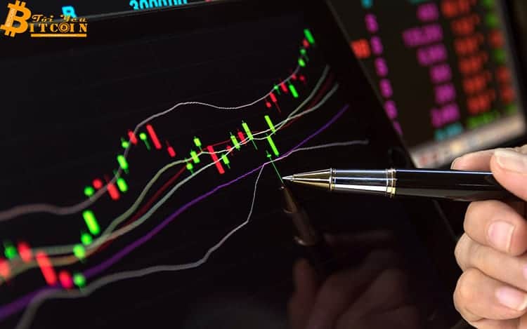 5 tips for novice traders in the upcoming uptrend market
