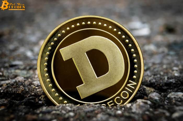 Canadian Prime Minister’s half-brother supports Dogecoin
