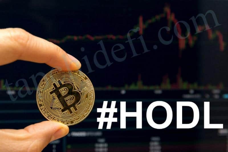Crypto Market Signals Down But Long-Term Investors Still Accumulating - Coin News
