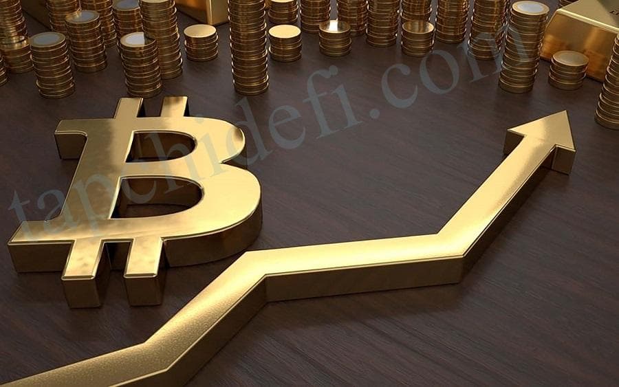 Cryptocurrency Market June 23: Bitcoin and Ethereum Soar, Altcoins Begin to Recover