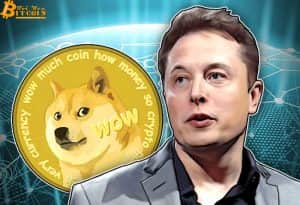 Elon Musk was elected as CEO of Dogecoin