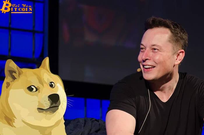 Dogecoin worth elevated barely after Elon Musk’s new tweet