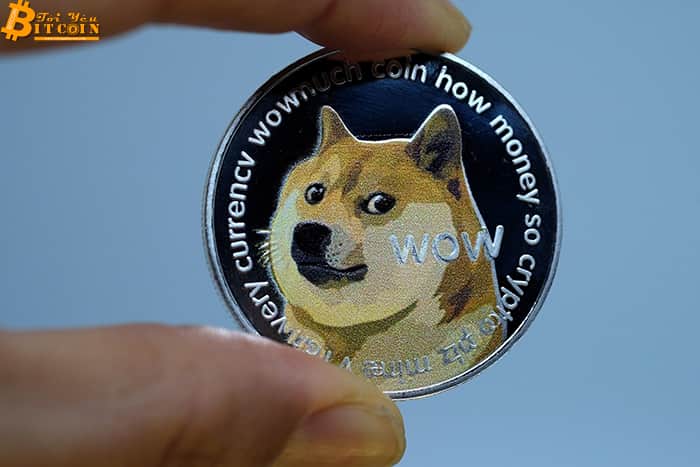 Dogecoin price plummeted, the land of’whales’ disappeared almost 16 billion USD