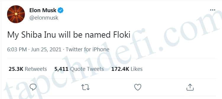 Elon Musk and 2 latest tweets make waves in the crypto community - Coin News