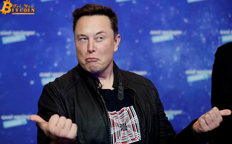 Elon Musk indirectly mocks the hacker group Anonymous