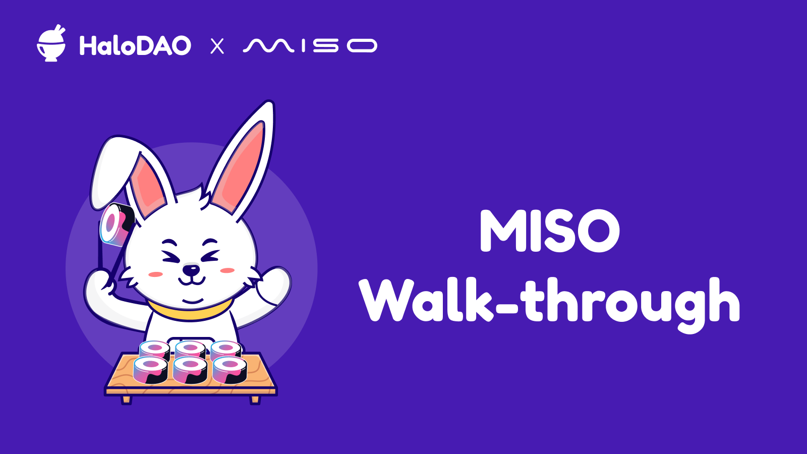 Instructions on be part of IDO HaloDAO Protocol on MISO