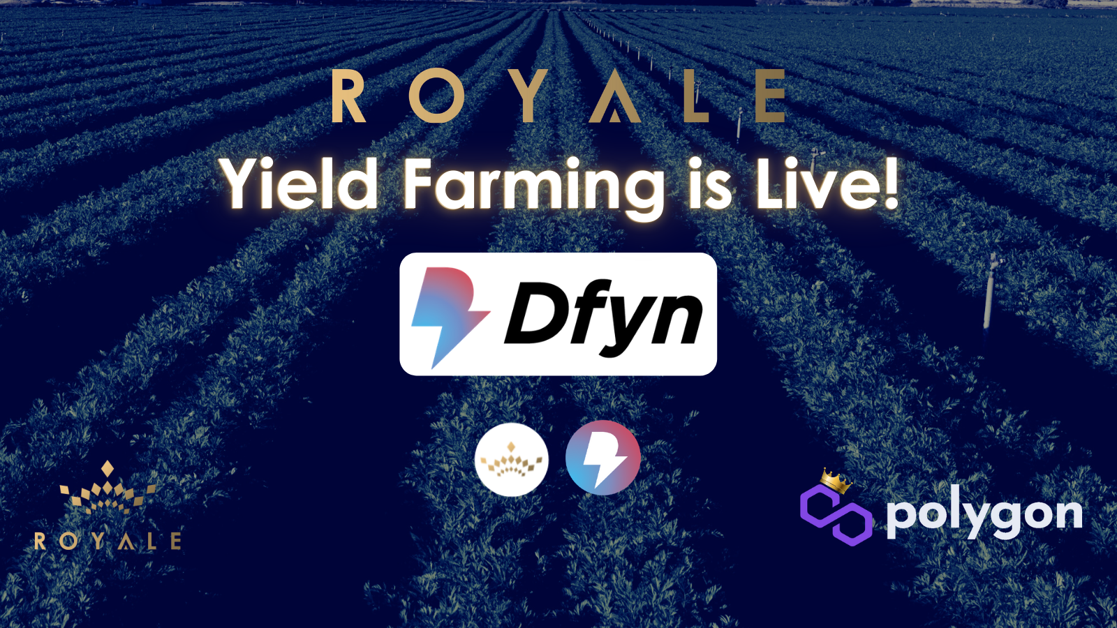 ROYA & Yield Farming trading now out there on DFYN