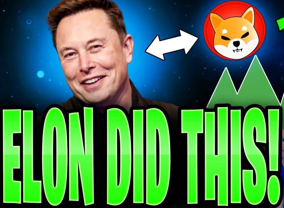 Shiba Inu (SHIB) is up 17% after tweeting about Elon Musk’s canine