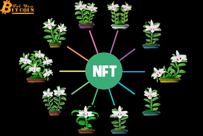 Vietnamese mutant orchids encrypted into NFT . Assets