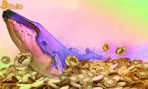 Whales are’release’, Bitcoin price adjusts profoundly