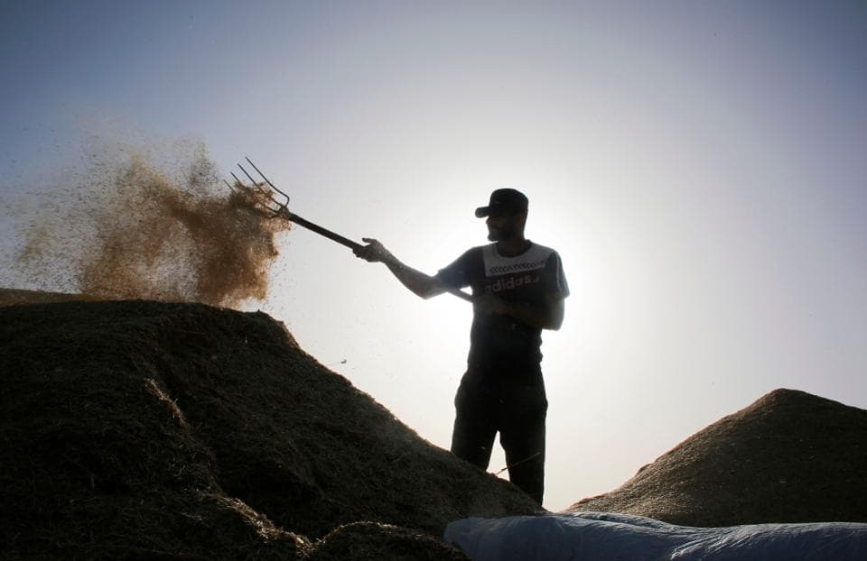 What is Yield Farming? New concept reflects DeFi craze