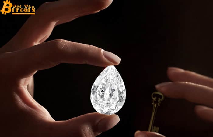 101 carat diamond offered at auction for bitcoin