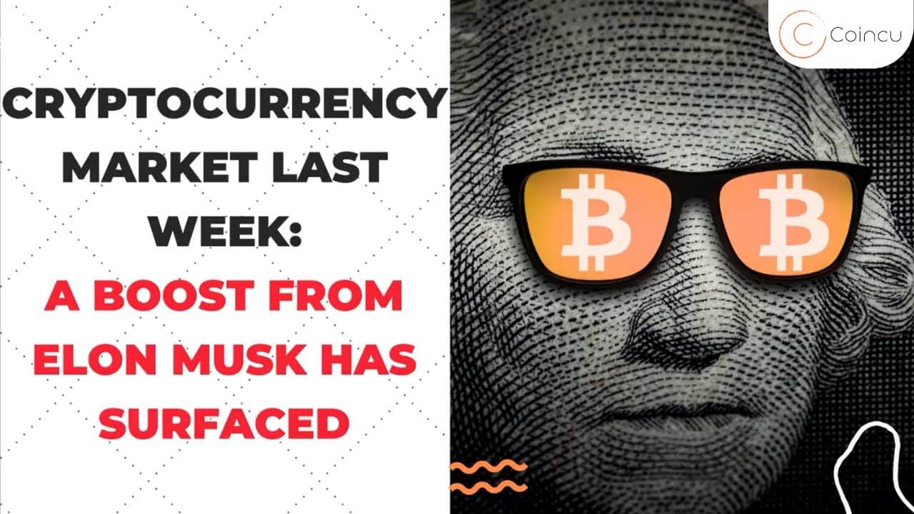 Cryptocurrency industry final week a improve from Elon Musk has surfaced