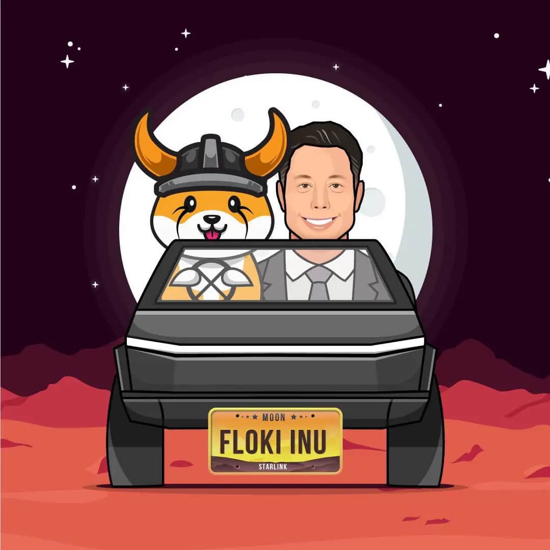 Be mindful with Floki Inu (FLOKI), this coin meme is not as uncomplicated as you imagine
