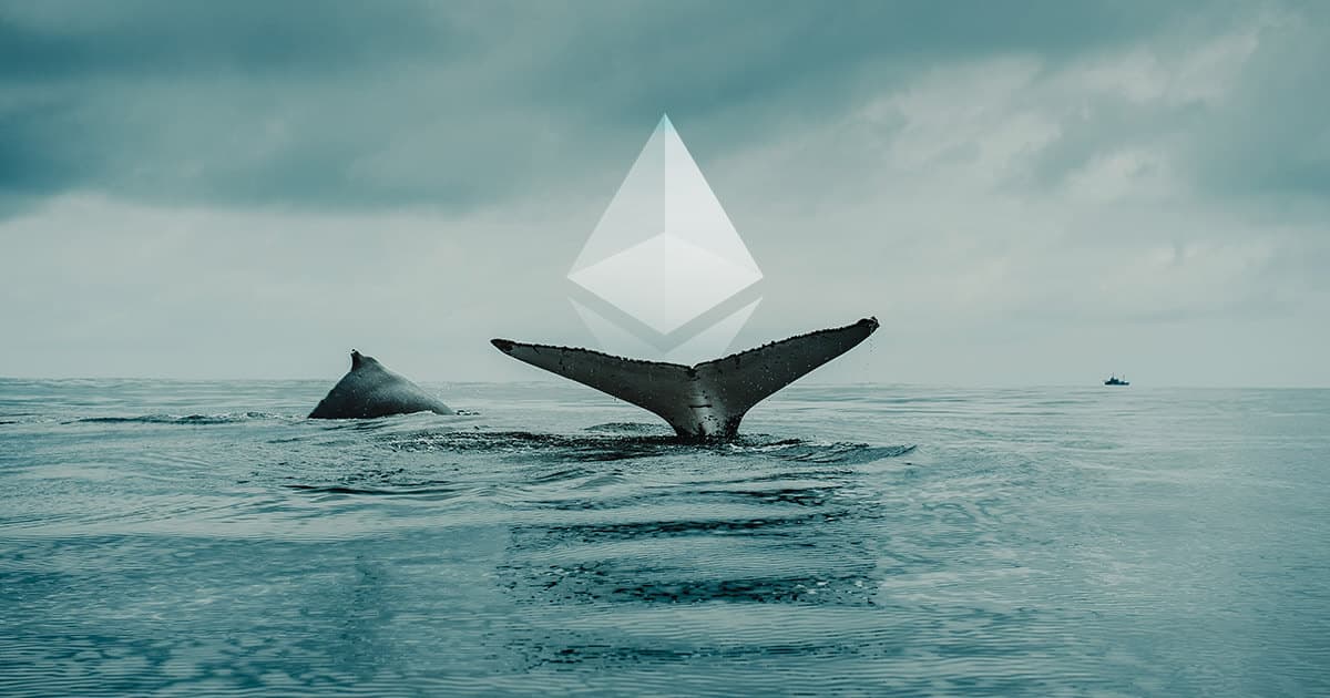 ETH whales carry on to harvest, the best ten ETH wallets hold in excess of twenty% of the complete provide